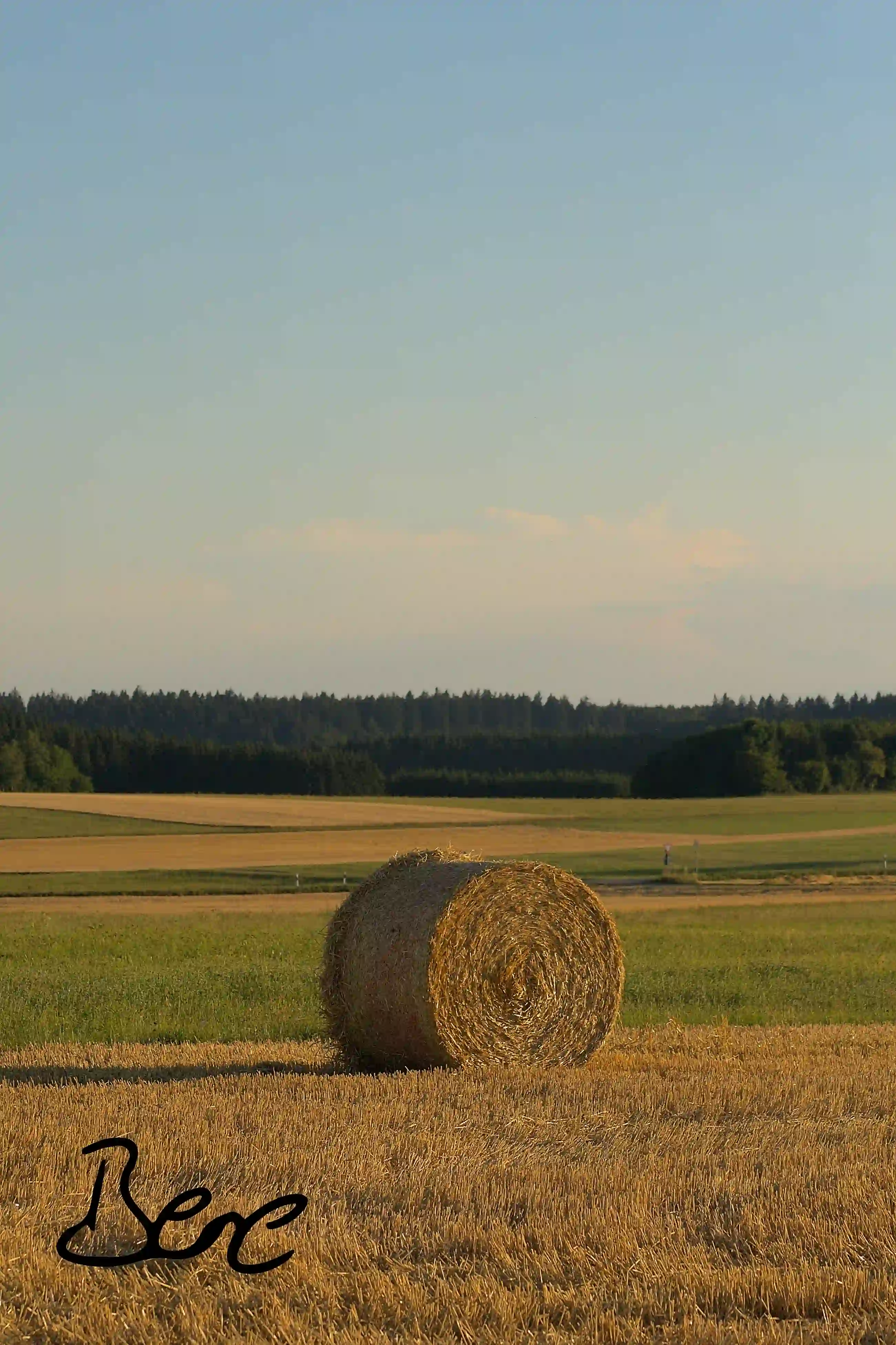 hay bales at the landscape